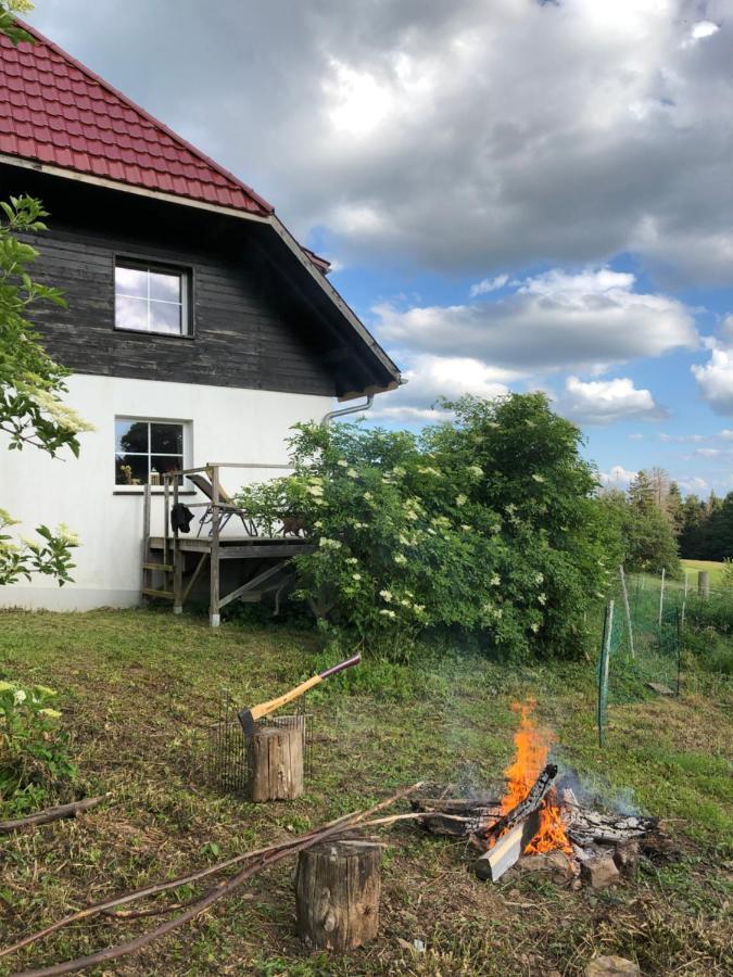 Rickenbach  Pfaffensteghof 아파트 외부 사진